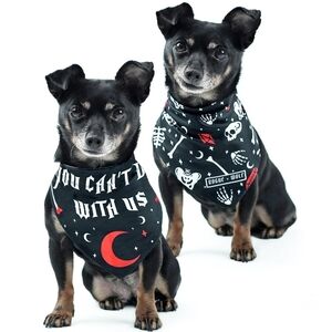 Rogue + Wolf “You Can’t Dig With Us” Reversible Pet Bandana–Bones Crystals Print